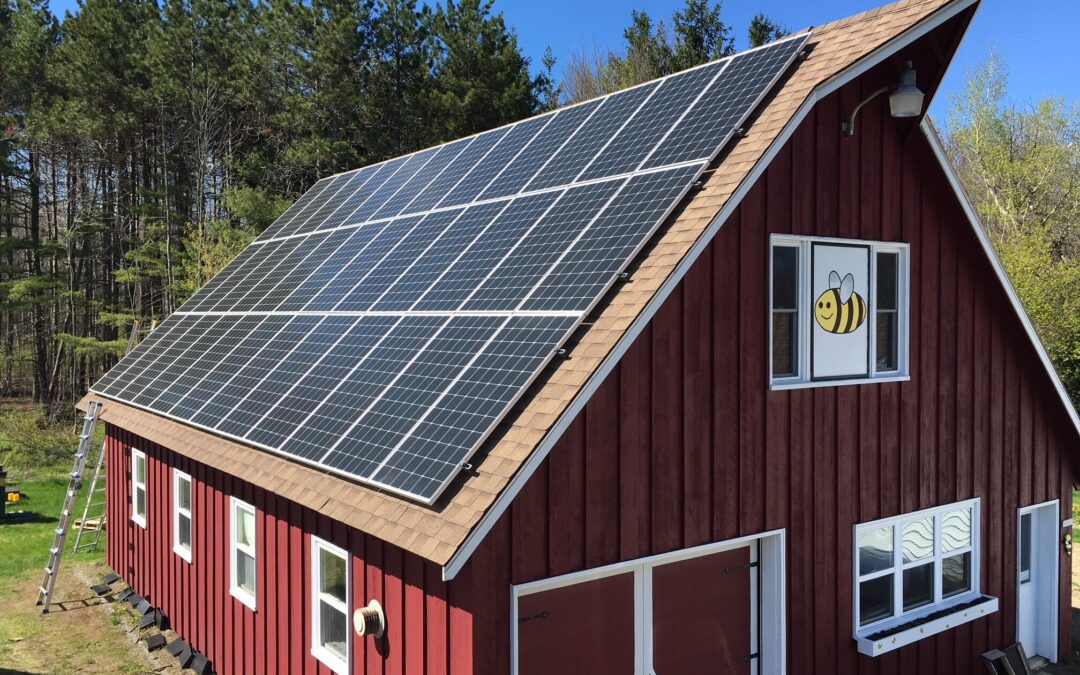 12KW, THE BEE WHISPERER, HAMPDEN