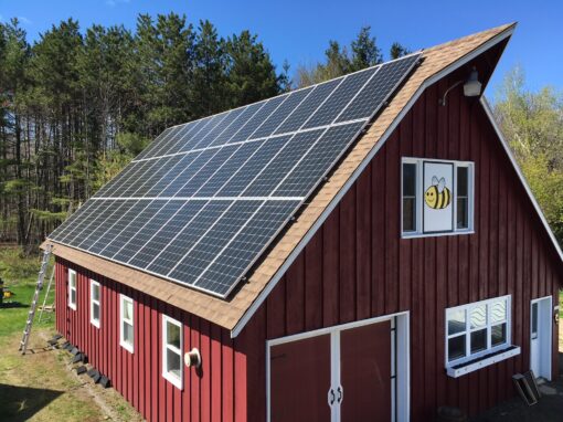 12KW, THE BEE WHISPERER, HAMPDEN